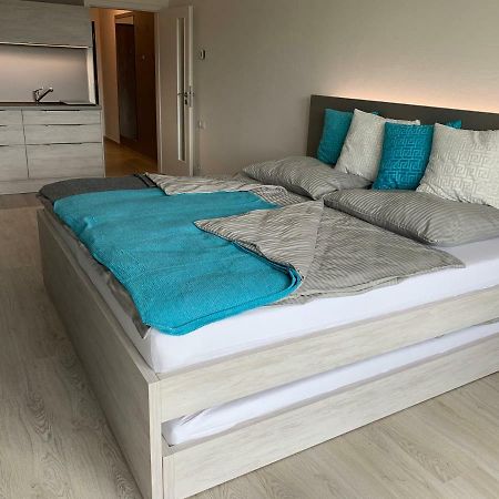 Apartman Denisa 伏尔塔瓦河畔利普诺 外观 照片