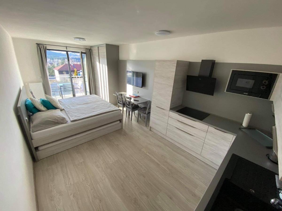 Apartman Denisa 伏尔塔瓦河畔利普诺 外观 照片