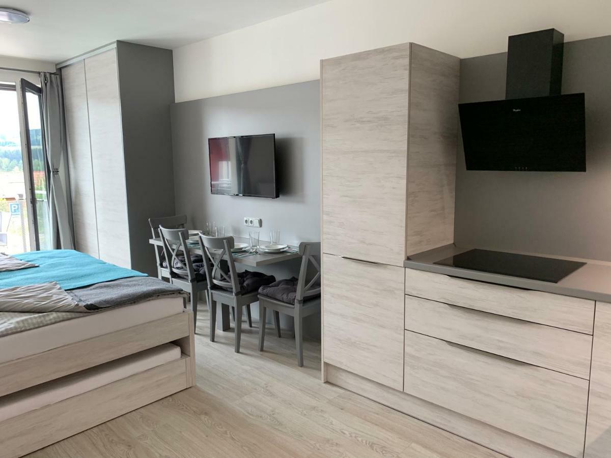 Apartman Denisa 伏尔塔瓦河畔利普诺 外观 照片
