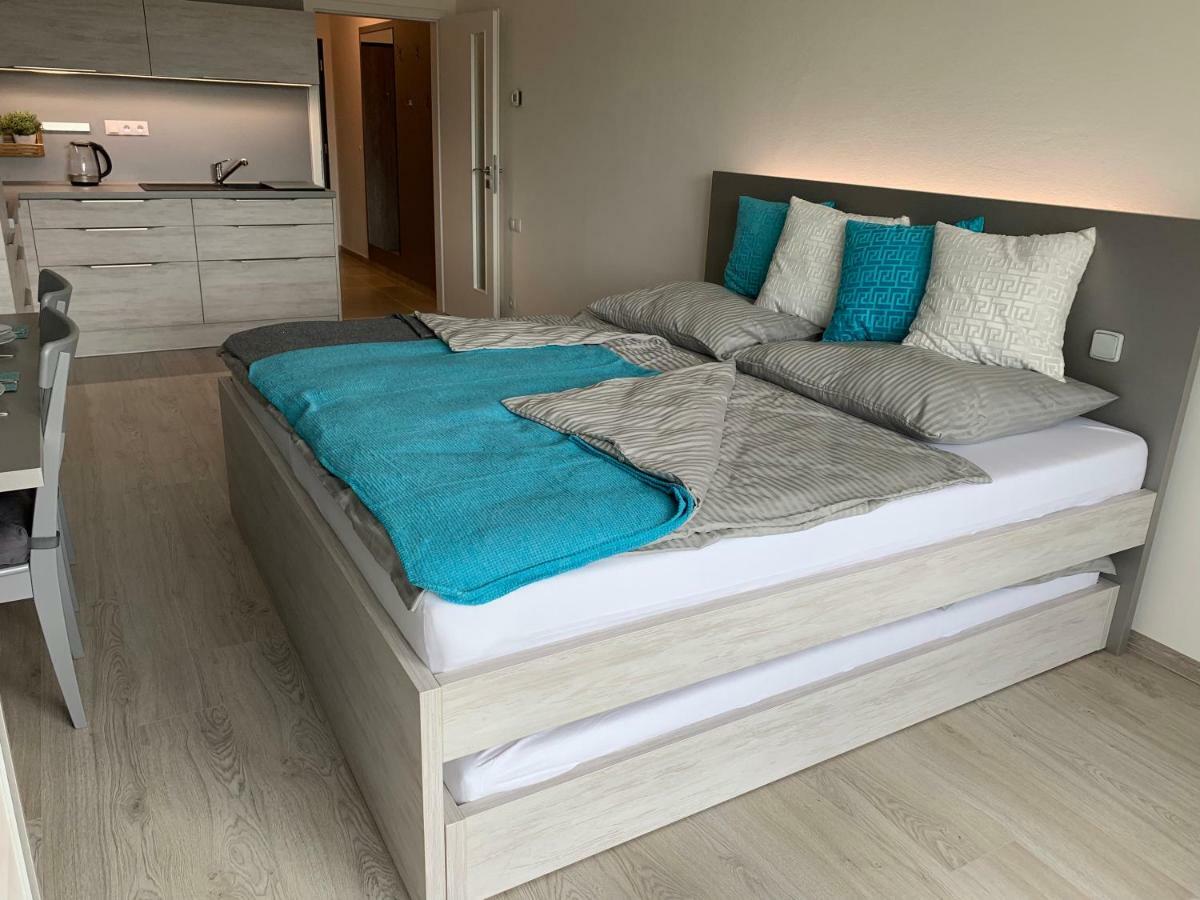 Apartman Denisa 伏尔塔瓦河畔利普诺 外观 照片