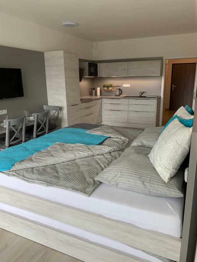 Apartman Denisa 伏尔塔瓦河畔利普诺 外观 照片