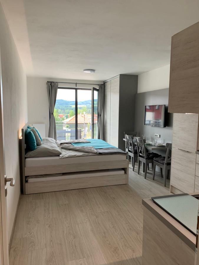 Apartman Denisa 伏尔塔瓦河畔利普诺 外观 照片
