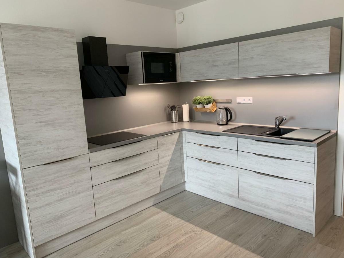Apartman Denisa 伏尔塔瓦河畔利普诺 外观 照片