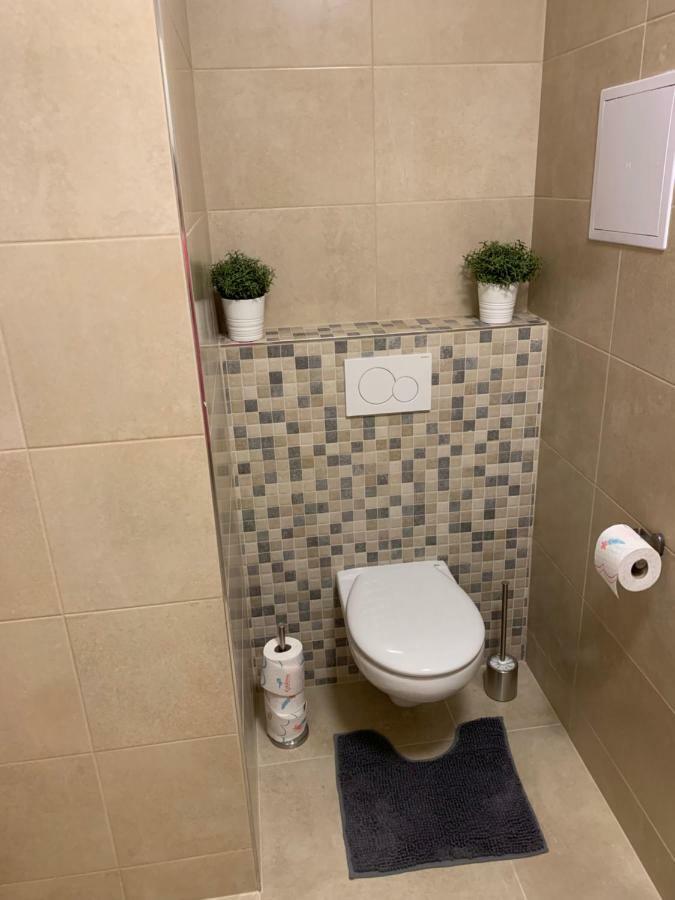 Apartman Denisa 伏尔塔瓦河畔利普诺 外观 照片